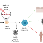 Día-mundial-ADN-2020-2