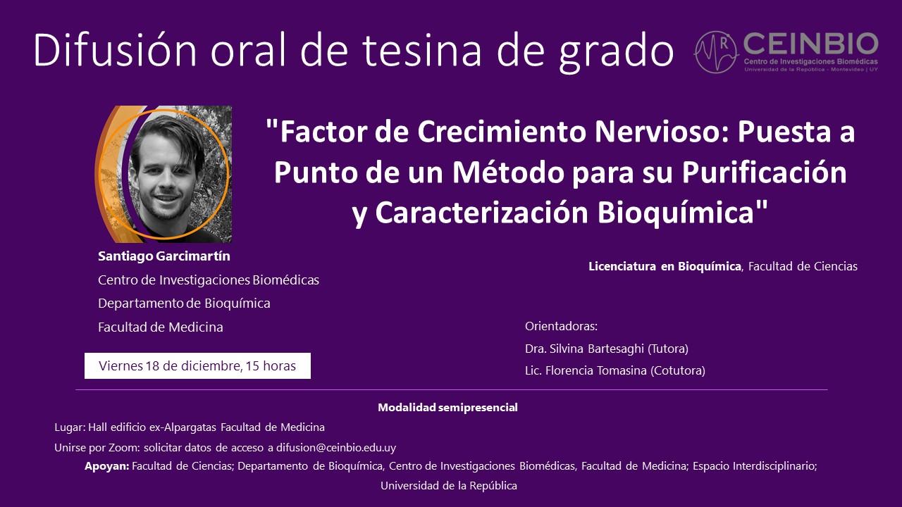 Garcimartín-DifusiónTesina