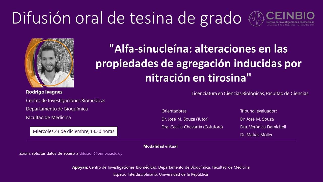 Ivagnes-DifusiónTesina