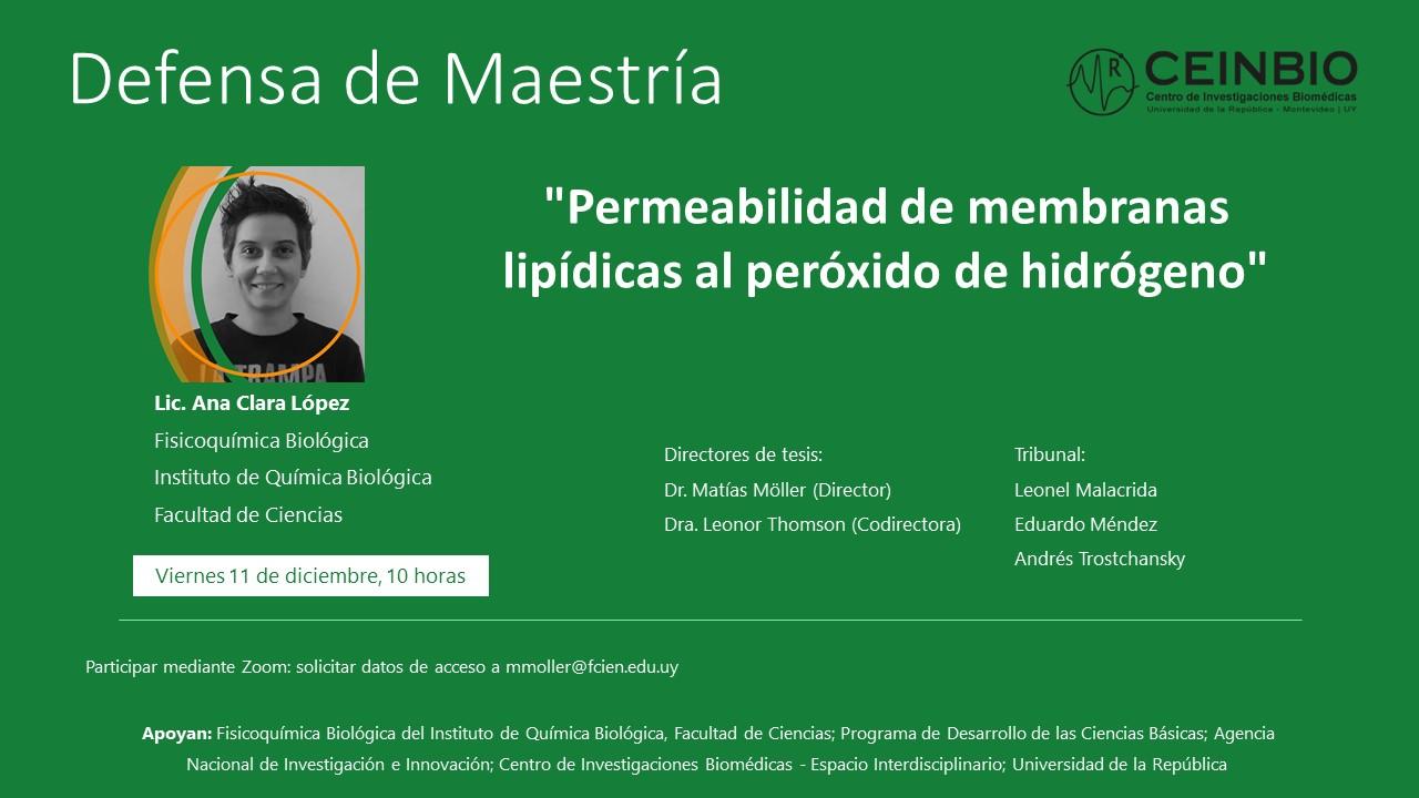 LópezAC-Defensa-Maestría