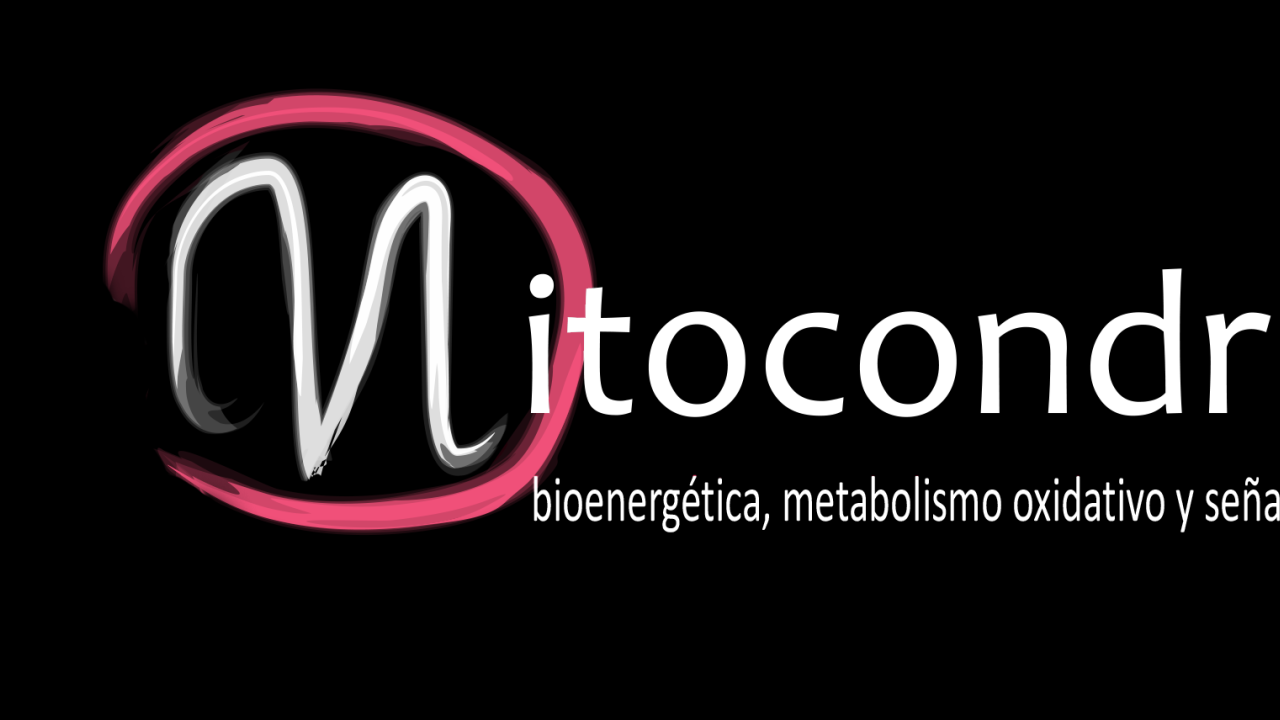 curso-mito-encabezado