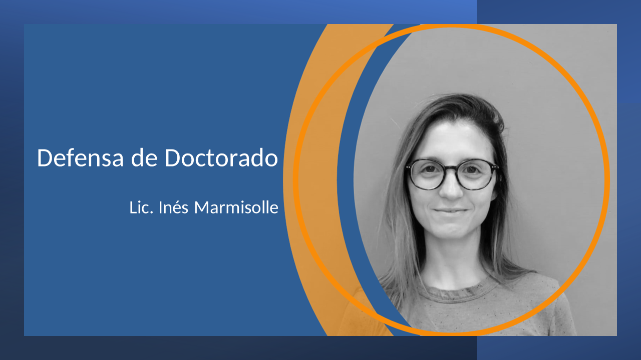 imarmisolle-defensadoctorado