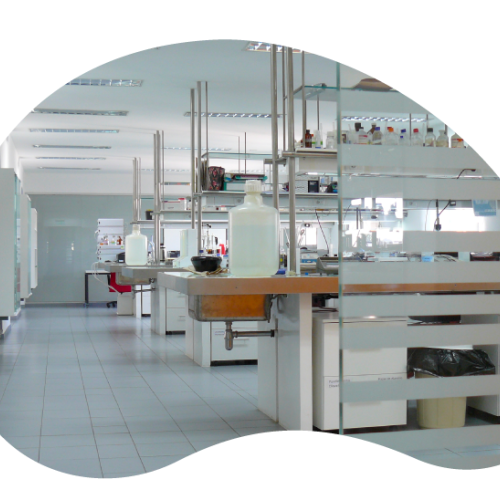 Centro de Investigaciones Biomédicas