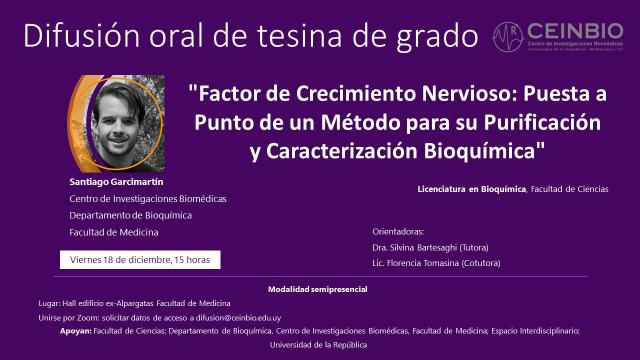 Garcimartín-DifusiónTesina