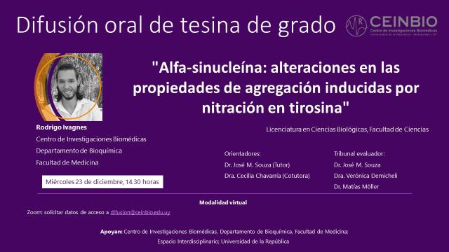 Ivagnes-DifusiónTesina