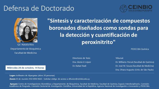 RíosN-Defensa-Doctorado