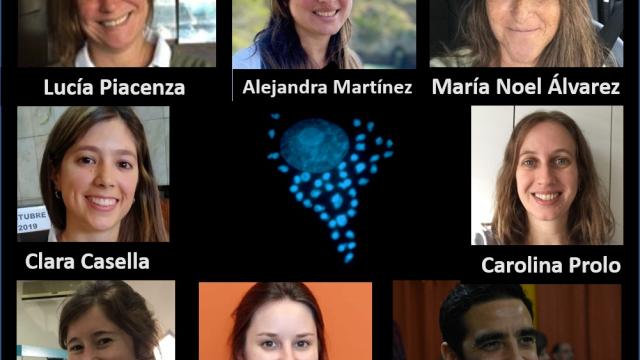 Día-mundial-chagas-2020