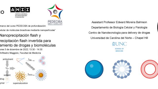 conferencia2-curso-moleculas-bioactivas-encabezado