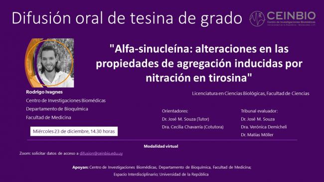 Ivagnes-DifusiónTesina