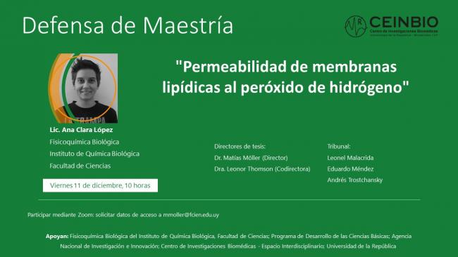 LópezAC-Defensa-Maestría