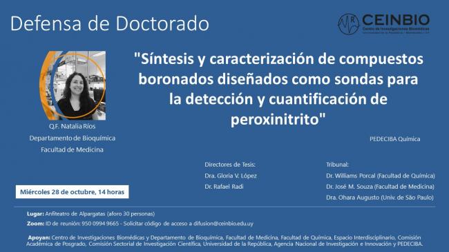 RíosN-Defensa-Doctorado