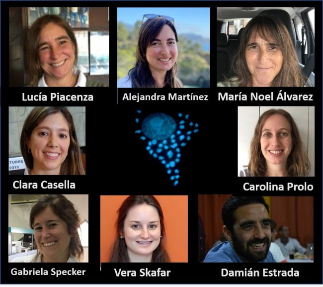 Día-mundial-chagas-2020