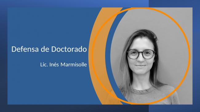 imarmisolle-defensadoctorado